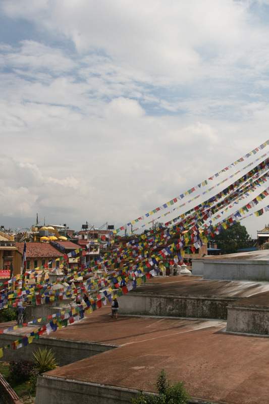 India & Nepal 2011 - 0219